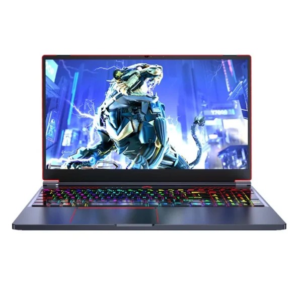 16.1 Inch Business and Gaming Laptop 1920*1280 HD Display Intel Core i9 10885H i7 10870H 64G DDR4 RAM 2TB SSD Nvidia GTX 1650 4G