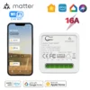 Matter Smart Switch 16A Mini WiFi Relay Module Home Automation DIY Wireless Light Switch Works with Homekit Alexa Google Home